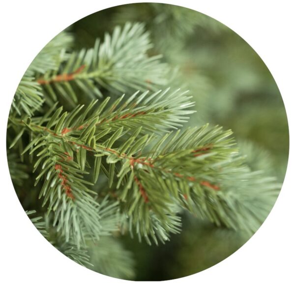 Norský smrk 3D Snaptree 50% PE - Image 3